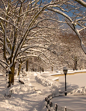 snow in New York City's Central Park